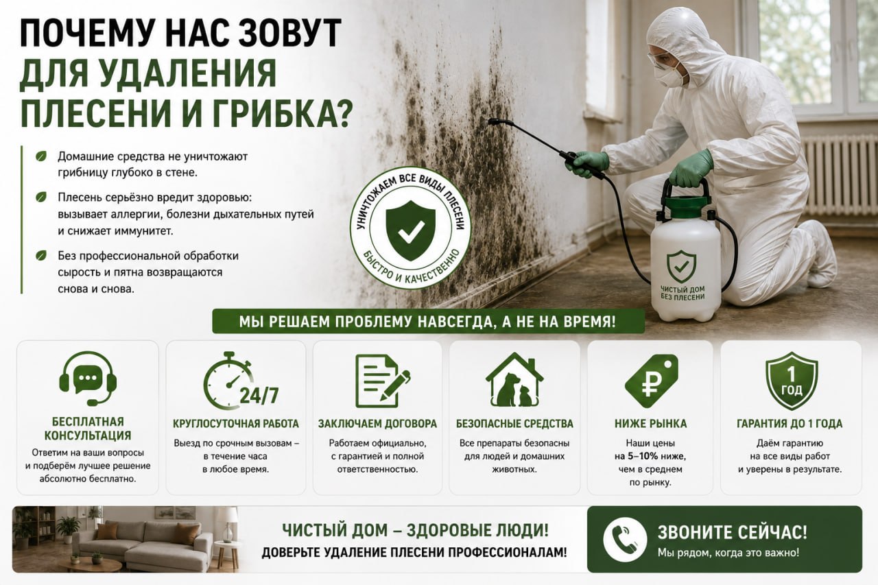 Почему зовут нас для удаления плесени и грибка
